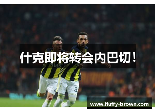 什克即将转会内巴切！